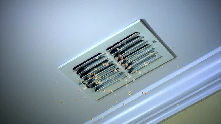 Best Air Vent Cleaning Services  in Hardin, MT